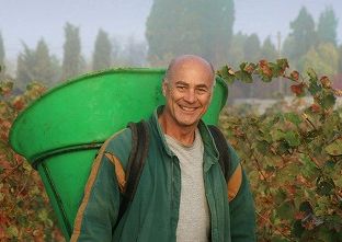 �T���v���摜